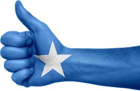 Calanka soomaaliya , arabisch : Somalia Flagge Hand Kostenloses Bild Auf Pixabay