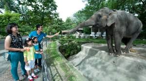 Zoo negara malaysia | kuala lumpur zoo malaysia's national zoo with over 2000+ animals. Promo Harga Tiket Zoo Negara Terbaru 2021
