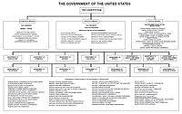 diagram of the federal government and american union