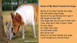 More Excerpts From I Could Pee On This And Other Poems By Cats Pet Poems Cat Poems Cats