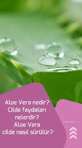 Aloe Vera Nedir Cilde Faydalari Nelerdir Aloe Vera Cilde Nasil Surulur Aloe Cil Veranda