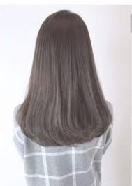 Hair Gray Highlights Brown 26 Super Ideas Ash Hair Color Trendy Hair Color Hair Styles