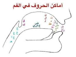 Apparently, there are official spellings of the letters. Articulation Phonation Of Arabic Sounds Learning Arabic Arabic Alphabet Learn Arabic Alphabet