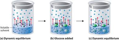 If solute is non volatile solid or liquid the vapour pressure of solution is equal to partial vapour. 11 5 Phase Equilibrium In Solutions Nonvolatile Solutes Chemistry Libretexts