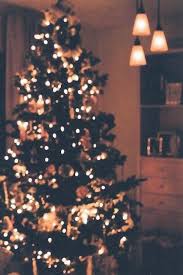 Download hd wallpapers for free on unsplash. Christmas Aesthetic Background Horizontal Fir Tree 5k 4k Wallpaper Christmas Winter Blue Horizontal Tree Wallpaper Winter Wallpaper Holiday Wallpaper Here Are Some Gorgeous Christmas Tree Photos Which You Can Use