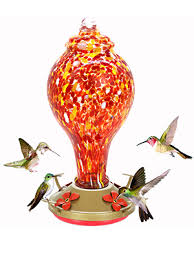 Total ratings 44, $6.49 new. Amazon Com Hapito Hummingbird Feeders For Outdoors Hand Blown Glass Hummingbird Feeder Garden Bird Feeders For Outside Upgraded Never Leak Bird Feeder With Ant Moat Yellow 35 Ounces Garden Outdoor
