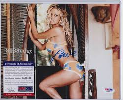 JENNA JAMESON SIGNED AUTO PSADNA AUTHENTICATED 10x8 AUTOGRAPH XRCO HALL OF  FAME | eBay
