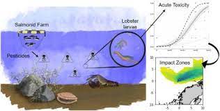 It is most fundamental in our efforts to combat and control department should have control of soil, air and water environment and should maintain a strict vigilance over metropolitan and industrial areas. The Impact Of Anti Sea Lice Pesticides Azamethiphos And Deltamethrin On European Lobster Homarus Gammarus Larvae In The Norwegian Marine Environment Environmental Pollution X Mol