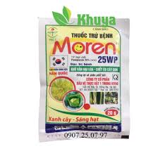 Moren 25WP