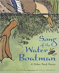 Row row row your boat, Song Of The Water Boatman And Other Pond Poems Caldecott Honor Book Bccb Blue Ribbon Nonfiction Book Award Sidman Joyce Prange Beckie 9780618135479 Amazon Com Books