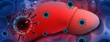 Some people or animals with hepatitis have no symptoms, whereas others develop yellow discoloration of the skin and whites of the eyes (jaundice), poor appetite, vomiting, tiredness, abdominal pain, and diarrhea. Roche Aiming For A Cure For Hepatitis B