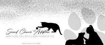 I do extensive work to find a perfect match for each. Second Chance Adoption Home Facebook