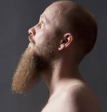 Short goatee styles can easily pass as the five o'clock shadow. Want To Grow A Long Goatee Here Is Everything You Need To Know Beardoholic