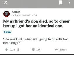 Why waste your memory on long boring jokes when you can get some really cool, nice and easy to memorize, short funny jokes to cheer up your friends or use as a pickup line at the bar to break the ice. Jokes Uflipperpancake 6h My Girlfriend S Dog Died So To Cheer Her Up L Got Her An Identical One Funny She Was Livid What Am L Going To Do With Two Dead Dogs