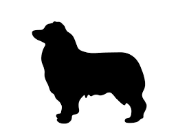 Australian Shepherd German Shepherd Mix Black And White Australian Shepherd Clipart Australian Shepherd Silhouette Running 38 Australian Shepherd Poodle Mix Miniature Australian Shepherd Australian Shepherd