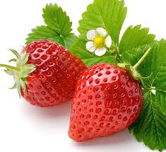Hochwertige outdoor bekleidung für dein outdoor abenteuer! Strawberry Calloway S Nursery
