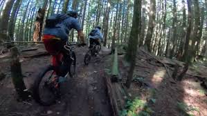 Collar bones encountering minor injuries : Hikers Mountain Bikers Asked To Avoid Mount Seymour After Bear Chases Cyclists Cbc News