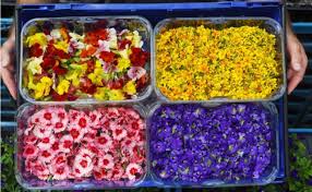 Check spelling or type a new query. How To Use Edible Flowers For Showstopping Bakes Interview British Baker
