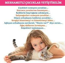 Hazal Yesilkaya Adli Kullanicinin Egitim Pdr Cocuk Gelisim Psikoloji Okul Aile Panosundaki Pin Cocuk Ebeveyn Olmak Okuma