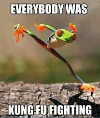 Kung Fu Fighting Kungfu Animalmartialartstyle Funny Frogs Funny Animal Pictures Funny Animals