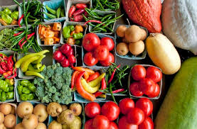 Organic Food To Go Organic Food