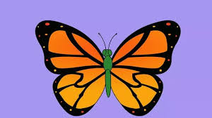 Sketsa gambar kupu kupu hinggap di bunga sobsketsa via sobsketsa.blogspot.com. Cara Menggambar Kupu Kupu 14 Langkah Dengan Gambar Wikihow
