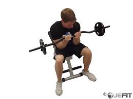 Ez Bar Seated Close Grip Curl Exercise Database Jefit Best Android And Iphone Workout Fitness Exercise And Bodybuilding App Best Workout Tracking Software