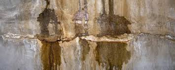 Although grouting is fairly simple, mishaps such as improper grout consistency can greatly impact your tiling job. What Is Efflorescence How To Prevent It