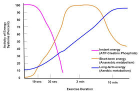 As we have discussed before, carbohydrates are the chief source of fuel for anaerobic (weight training) activity. 16 4 Fuel Sources Medicine Libretexts