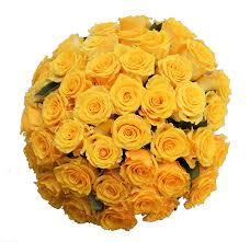 Monday, tuesday brighten your mom's day with some beautiful flowers! Amazon Com 50 Farm Fresh Yellow Roses Bouquet By Justfreshroses Long Stem Fresh Yellow Rose Delivery Farm Fresh Flowers Grocery Gourmet Food