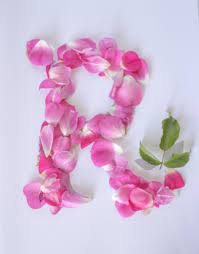 pretty floral letter r floral letters flower letters flower words