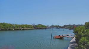 Harga tiket masuk taman safari bogor. Taman Cattleya Sejarah Spot Foto Fasilitas Jam Htm