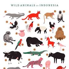 Indonesia is a large archipelago, with regional area of 1.990.250 km2. Animals Illustration By Ayang Cempaka