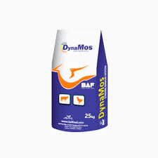 Cell wall as animal feed. Animal Feed Supplement Dynamos Baf Premiks Ve Tar San Dis Tic Ltd Sti Cattle Poultry With Yeast