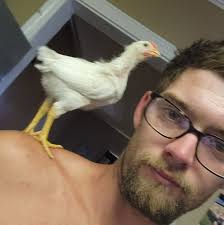 Can I run PT through my planer or is it not good for the knives?