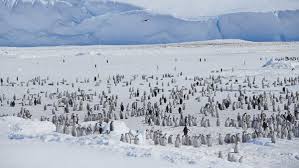 Meaning of antarctica in english. How Much Of Antarctica Is Really Wilderness Cosmos Magazine