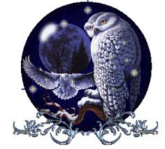 Maybe you would like to learn more about one of these? Burung Hantu Gif Gambar Animasi Animasi Bergerak 100 Gratis