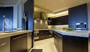 Elite kitchen and baths, inc., longwood, florida. Kitchens Archives Elite Cabinetry Naples Designer Cabinets