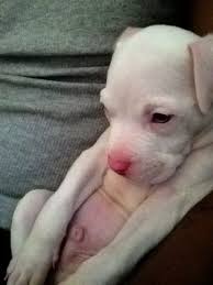 Pin On Cute