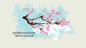 Aurelio baldor was born on october 22, 1906 in havana, cuba. Algebra De Baldor Miscelanea 158 By Tania Torres