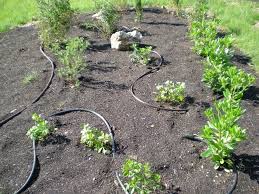 Fr?quence et dur?e arrosage goutte ? Entretien Du Jardin Les Erreurs A Eviter Cote Maison