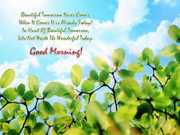 We did not find results for: Nature Good Morning Wallpapers Wallpaper Cave