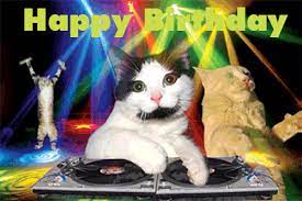 20 Funny Happy Birthday Gifs Happy Birthday Cat Happy Birthday Funny Cats Cat Birthday