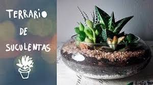Copas de cristal, mason jars, bowls y peceras sirven para hacer unos preciosos terrarios. Diy Tutorial Terrario De Suculentas En Pecera De Cristal Youtube