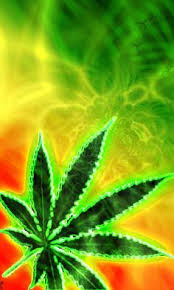Maybe you would like to learn more about one of these? 420