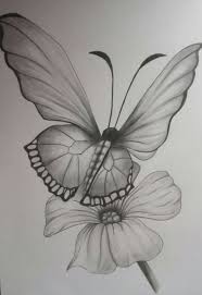 Anime Sketch Videos Guy Bnha Bokunoheroacademia Katsuki Flower Art Drawing Pencil Drawings Of Flowers Butterfly Sketch