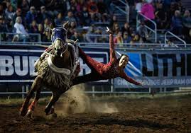 The Wpra And Calgary Stampede Announce New Qualifying Event - Cowgirl  Magazine