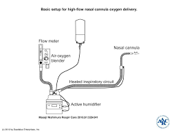 Methods 1 applying the nasal cannula 2 solving common comfort issues if you have to use supplemental oxygen, a nasal cannula fits into your nose to deliver the. Basic Setup For High Flow Nasal Cannula Oxygen Delivery Ppt Download