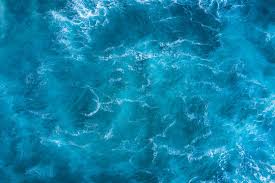 Image result for sea