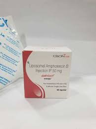 In a clinical study, ambisome® (amphotericin b) liposome for injection demonstrated a lower incidence of nephrotoxicity than abelcet®. Amfight Liposomal Amphoterecin B Injection 50mg Manufacturer Supplier Exporter From Vadodara Gujarat